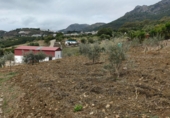 Nau industrial en venda a la Cortes de La Frontera, Cortes de la Frontera, ref.: TR77377 foto