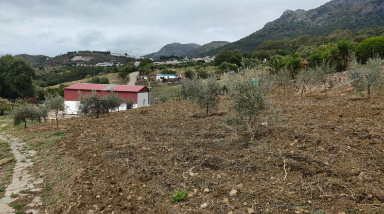 Málaga - Cortes de la Frontera - 6800m2