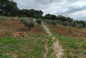 Cortes de la Frontera 6800&nbsp;m² 
