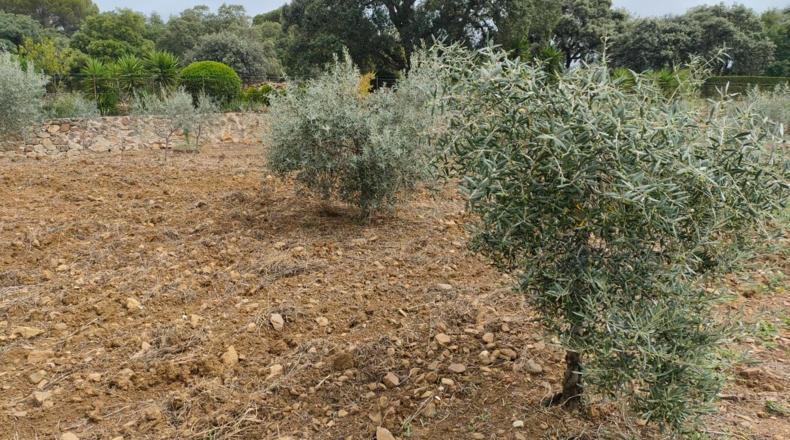 Málaga - Cortes de la Frontera - 6800m2