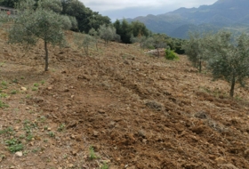 Cortes de la Frontera 6800&nbsp;m² 