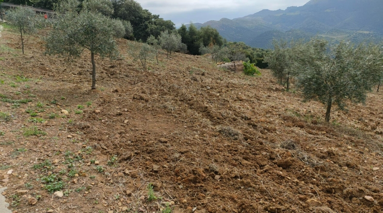 Málaga - Cortes de la Frontera - 6800m2