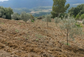 Cortes de la Frontera 6800&nbsp;m² 