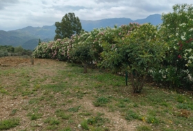 Cortes de la Frontera 6800&nbsp;m² 