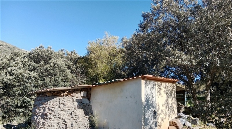 Málaga - Cortes de la Frontera - 12700m2