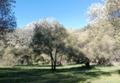 Casa de campo con terreno en venta en la Cortes de La Frontera, Cortes de la Frontera, ref: TR77375 foto