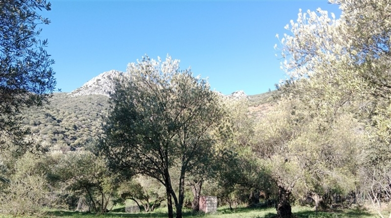 Málaga - Cortes de la Frontera - 12700m2