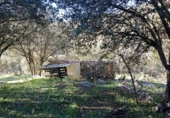 Casa de campo con terreno en venta en la Cortes de La Frontera, Cortes de la Frontera, ref: TR77375 foto