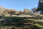 Casa de campo con terreno en venta en la Cortes de La Frontera, Cortes de la Frontera, ref: TR77375 foto