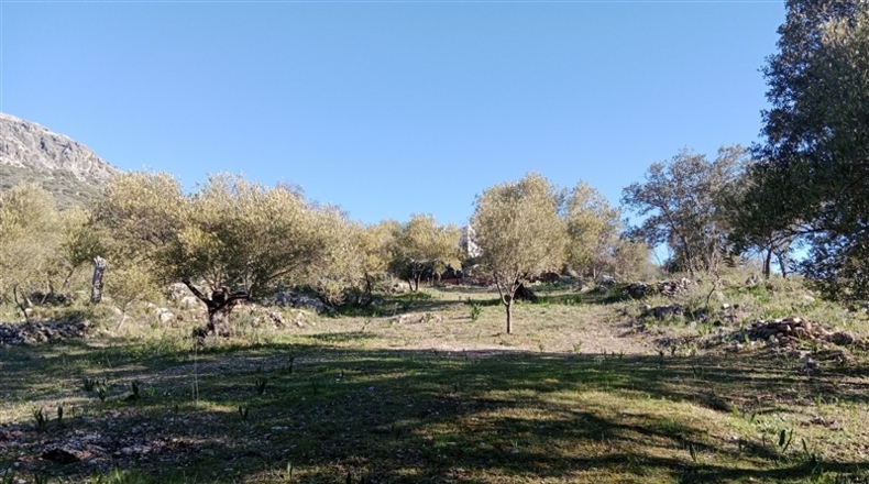 Málaga - Cortes de la Frontera - 12700m2