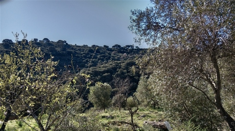 Málaga - Cortes de la Frontera - 12700m2