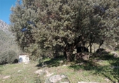 Casa de campo con terreno en venta en la Cortes de La Frontera, Cortes de la Frontera, ref: TR77375 foto