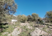 Casa de campo con terreno en venta en la Cortes de La Frontera, Cortes de la Frontera, ref: TR77375 foto