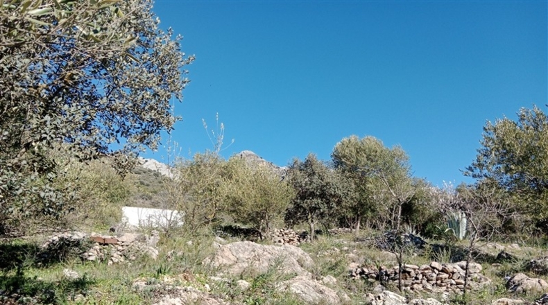 Málaga - Cortes de la Frontera - 12700m2