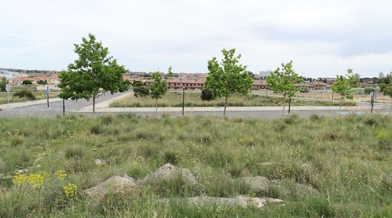 Ávila - Ávila - 400m2