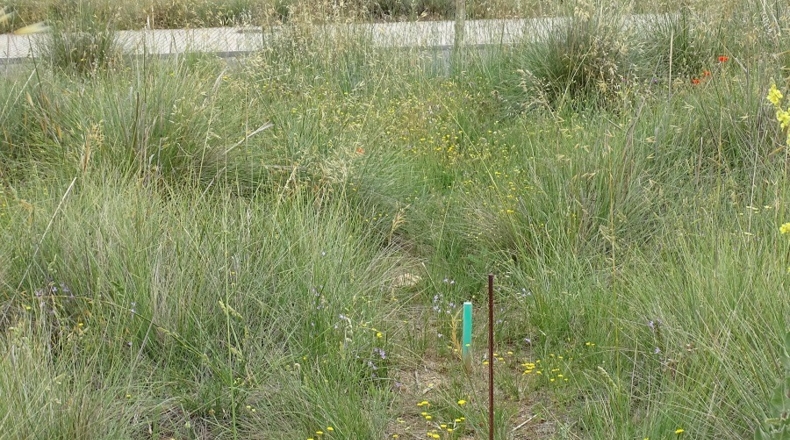 Ávila - Ávila - 400m2