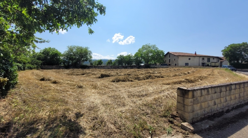 Álava - Hueto Abajo - 1835m2