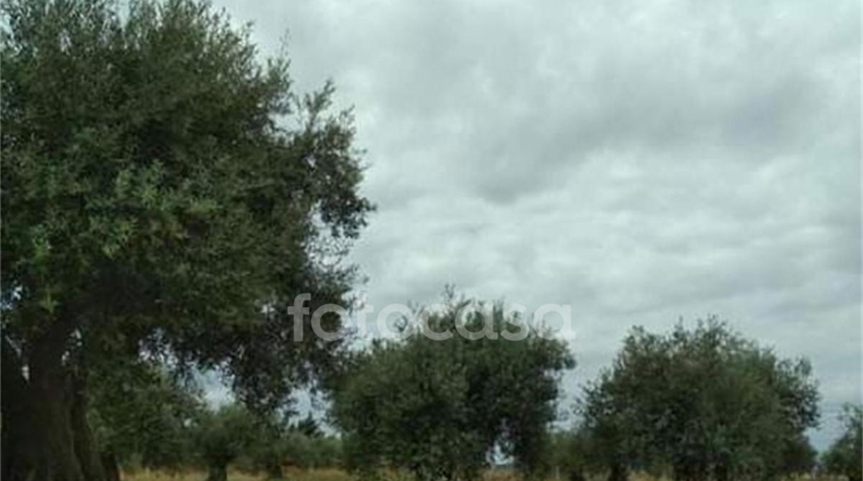 Toledo - San Martín de Montalbán - 2746m2