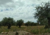 Parcel·la urbanitzable en venda a la San Martín de Montalbán, ref.: TR77773 foto