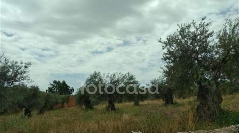 Toledo - San Martín de Montalbán - 2746m2