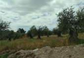 Parcel·la urbanitzable en venda a la San Martín de Montalbán, ref.: TR77773 foto