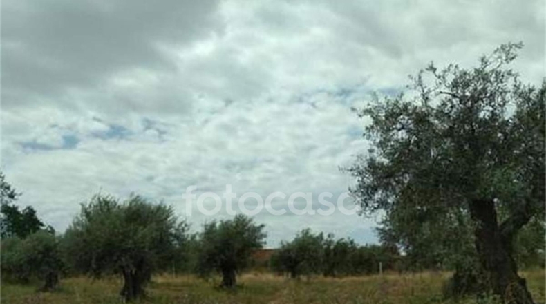Toledo - San Martín de Montalbán - 2746m2