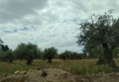Parcel·la urbanitzable en venda a la San Martín de Montalbán, ref.: TR77773 foto