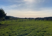 Sòl urbà en venda a la Lugar O Pazo de Meis, O Pazo de Meis, ref.: TR77783 foto