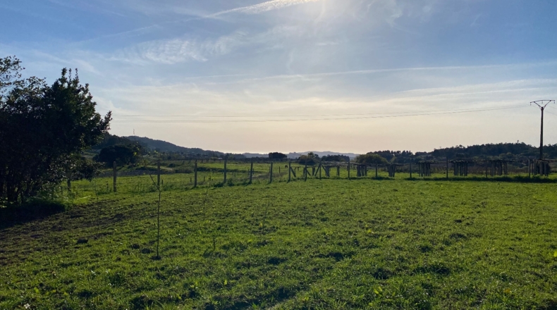 Pontevedra - O Pazo de Meis - 2500m2