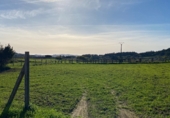 Sòl urbà en venda a la Lugar O Pazo de Meis, O Pazo de Meis, ref.: TR77783 foto