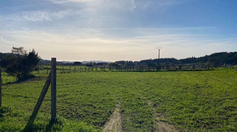 Pontevedra - O Pazo de Meis - 2500m2