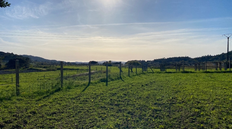 Pontevedra - O Pazo de Meis - 2500m2