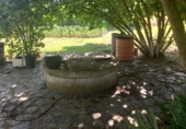 Finca rústica en venta en la Calle diseminados 1249, Aranda de Duero, ref: TR90350 foto