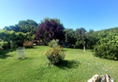 Finca rústica en venta en la Calle diseminados 1249, Aranda de Duero, ref: TR90350 foto