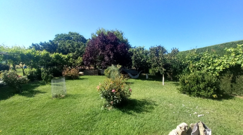 Burgos - Aranda de Duero - 3347m2