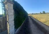 Finca rústica en venta en la Calle diseminados 1249, Aranda de Duero, ref: TR90350 foto