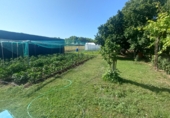 Finca rústica en venta en la Calle diseminados 1249, Aranda de Duero, ref: TR90350 foto
