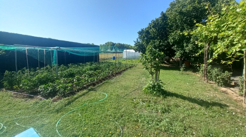 Burgos - Aranda de Duero - 3347m2