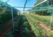 Finca rústica en venta en la Calle diseminados 1249, Aranda de Duero, ref: TR90350 foto