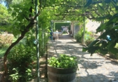 Finca rústica en venta en la Calle diseminados 1249, Aranda de Duero, ref: TR90350 foto