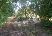 Finca rústica en venta en la Calle diseminados 1249, Aranda de Duero, ref: TR90350 foto
