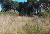 Parcel·la urbanitzable en venda a la Calle Josep Lluis Sert 32, Gavà, ref.: TR77885 foto