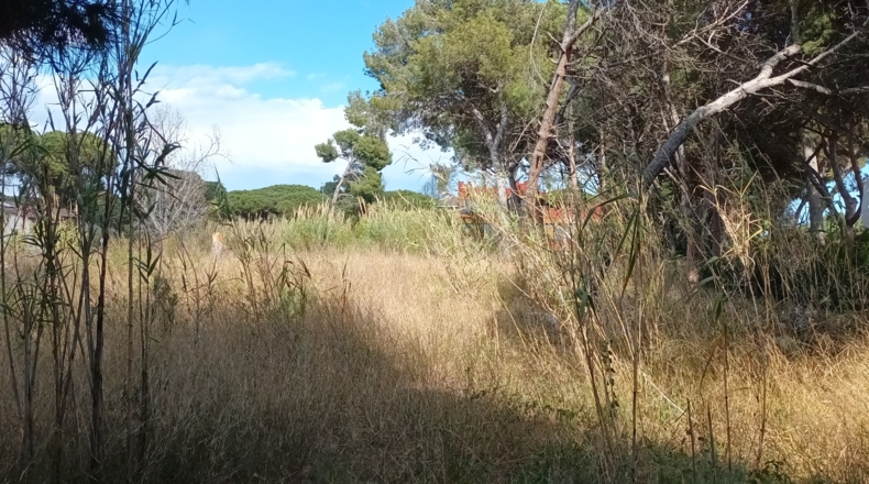 Barcelona - Gavà - 6900m2