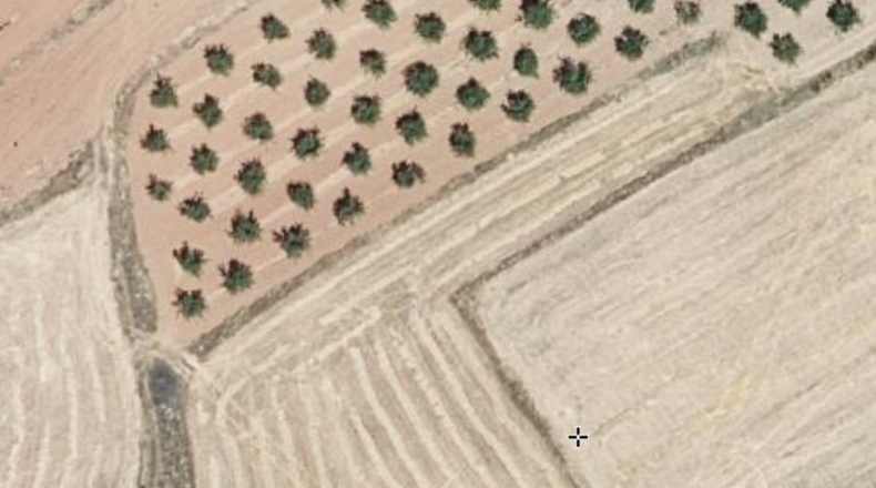 Valencia - Corcolilla - 20000m2