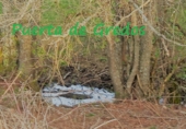Non-developable land for sale on p 2 p 185+186, Puerto Castilla, ref: TR80644 photo