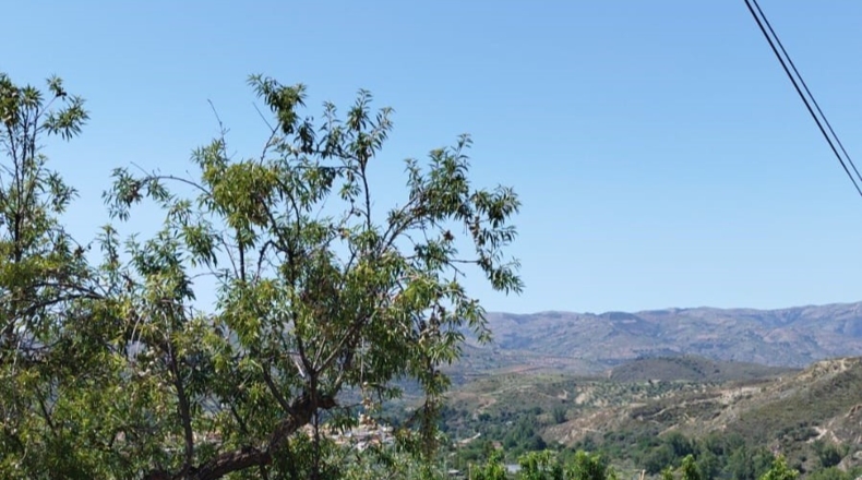 Granada - Cádiar - 860m2