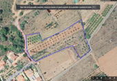 Non-developable land for sale on Poligono 4 Parcela 183, Estivella, ref: TR81173 photo