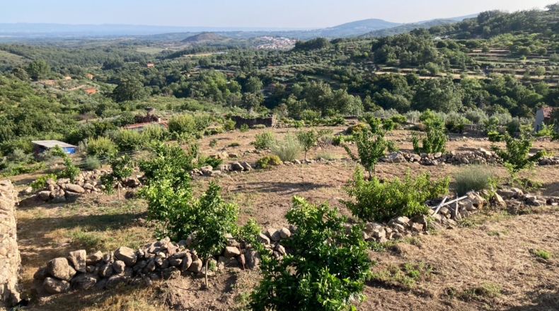 Cáceres - Aldeanueva de la Vera - 13750m2