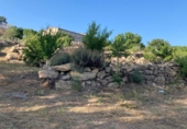 Land with ruins for sale on Urbanización Cerrillo de las Eras, Aldeanueva de la Vera, ref: TR81177 photo