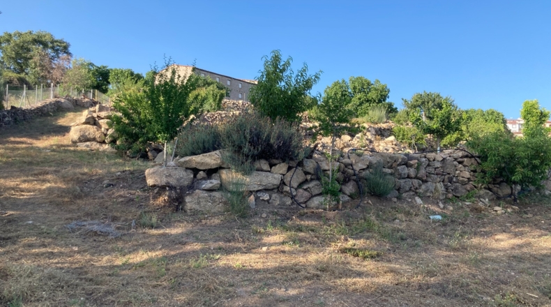 Cáceres - Aldeanueva de la Vera - 13750m2